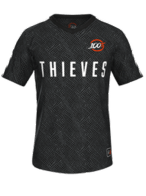 DIVISA 100 Thieves