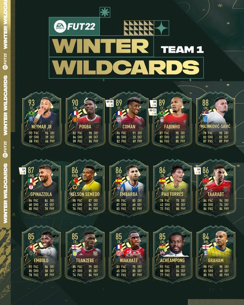 Winter Wildcards Team 1